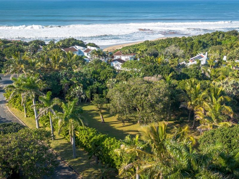 Aerial view of a lush, tree-filled residential plot situated in a coastal neighborhood with direct proximity to the ocean.