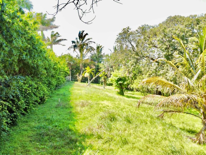 A view of a lush, green residential plot featuring mature trees, established hedging, and open grassed areas.