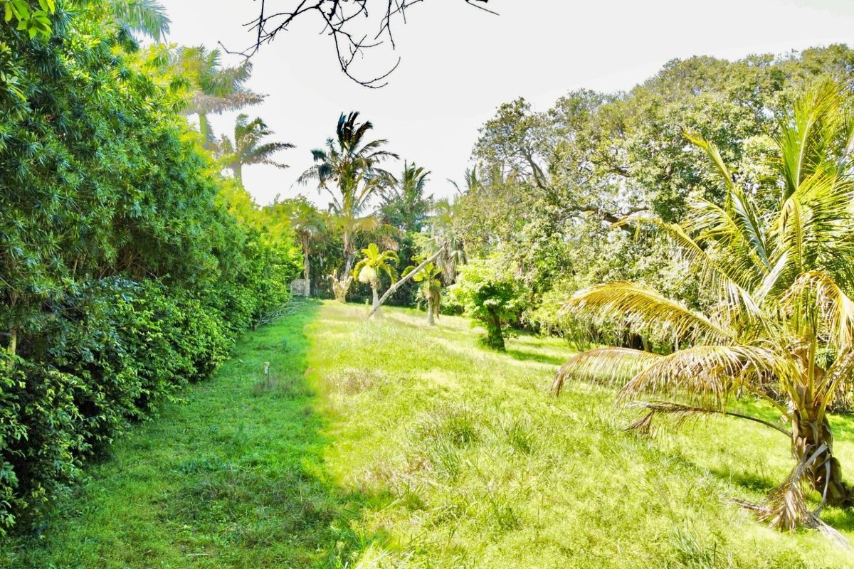 A view of a lush, green residential plot featuring mature trees, established hedging, and open grassed areas.