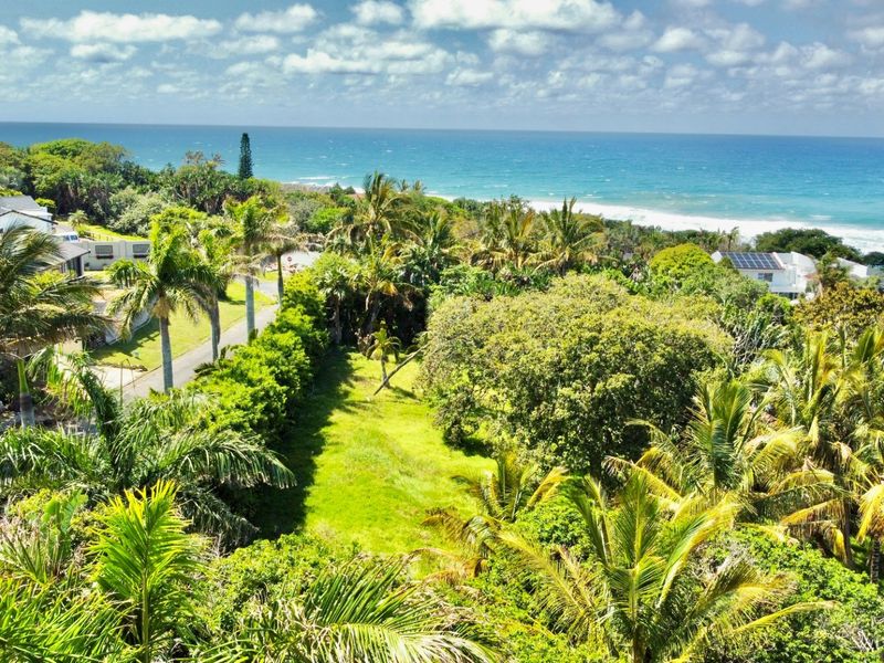 An aerial view of a vacant residential plot featuring lush coastal vegetation and direct ocean views in a prime seaside location.