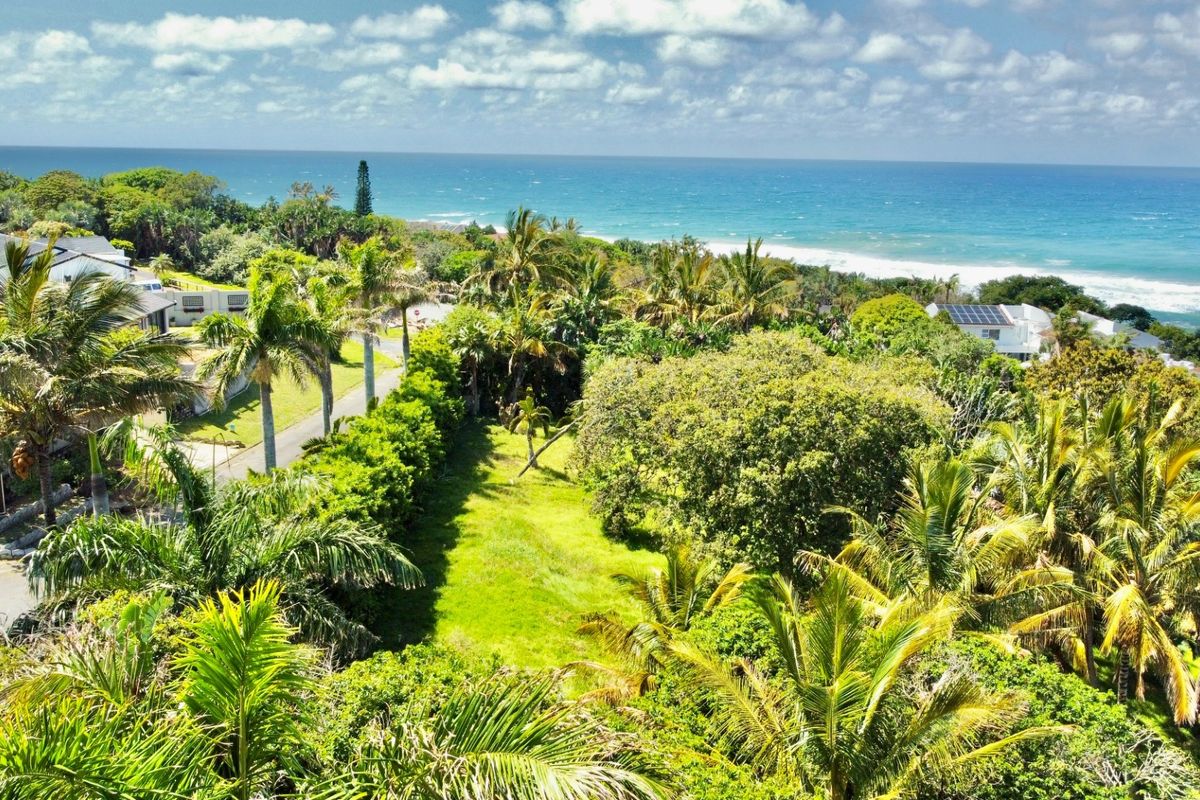 An aerial view of a vacant residential plot featuring lush coastal vegetation and direct ocean views in a prime seaside location.