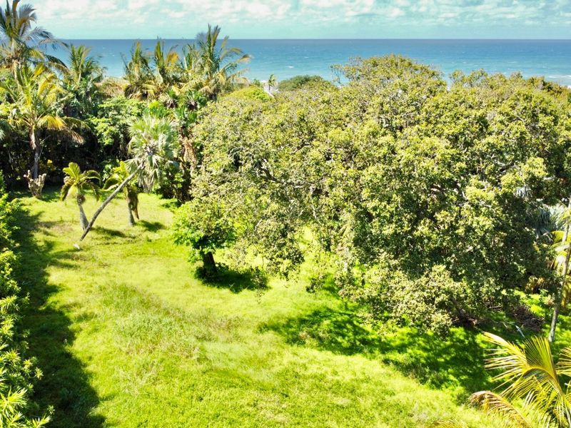 An aerial view of a lush, green residential plot featuring mature trees and coastal vegetation with a scenic ocean backdrop.