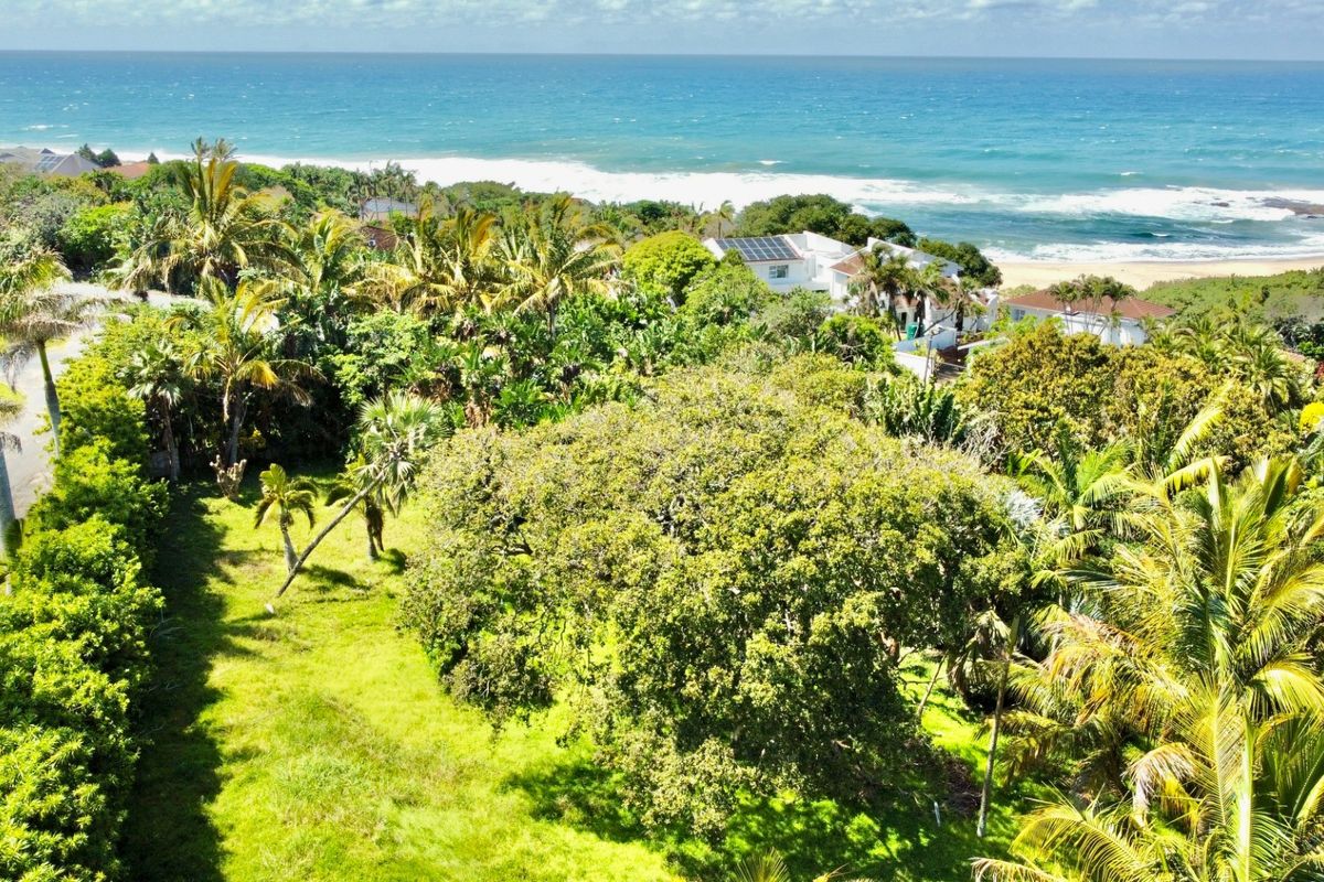 An elevated aerial view of a lush, green residential plot featuring mature trees and coastal vegetation, situated near the ocean.