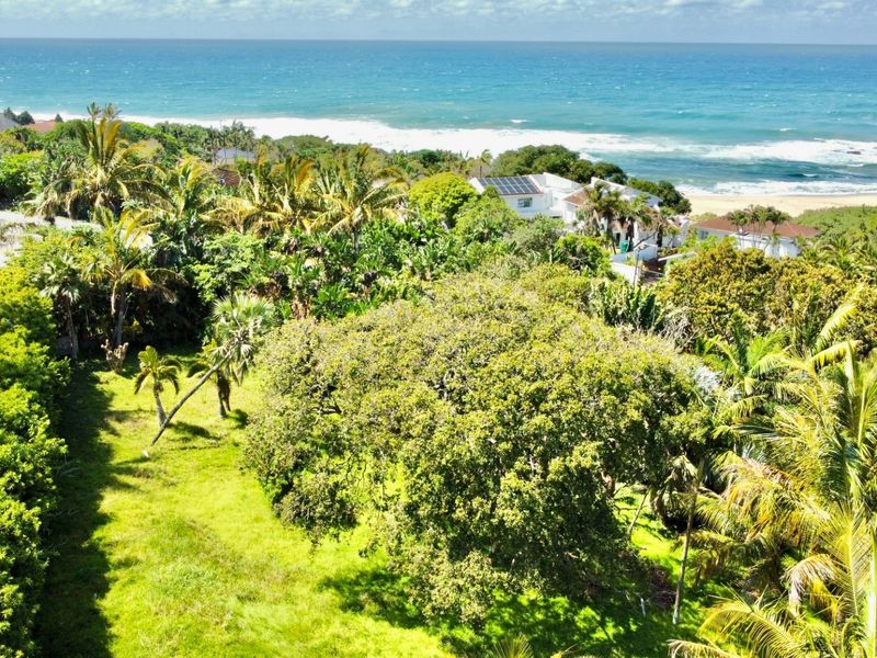 An elevated aerial view of a lush, green residential plot featuring mature trees and coastal vegetation, situated near the ocean.