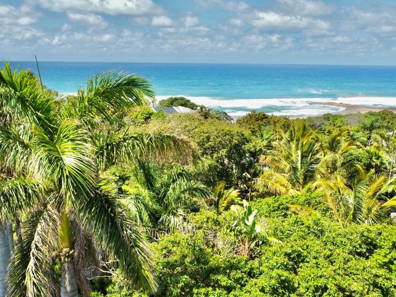 A scenic elevated view overlooking lush coastal vegetation and the ocean, highlighting the natural landscape and tranquil surroundings of the property.