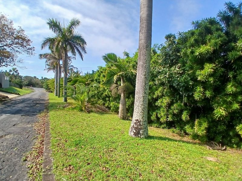 A street-level view of the property frontage featuring a paved road, concrete curbing, and established palm trees along the verge.