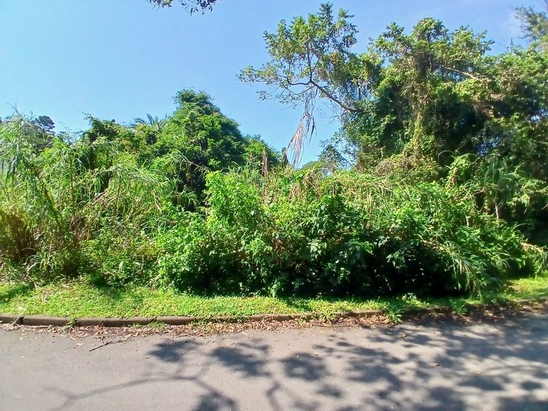 A view of a vacant residential plot from the street, featuring dense overgrown vegetation and a concrete curb along the asphalt road.
