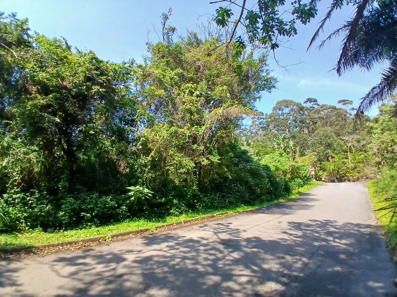 A view of the paved street frontage adjacent to the vacant residential land, featuring mature trees and established natural vegetation.
