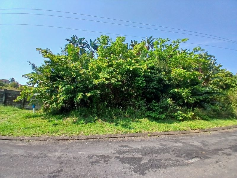 A view of a vacant residential plot featuring established vegetation, a boundary wall, and direct access from an asphalt road.