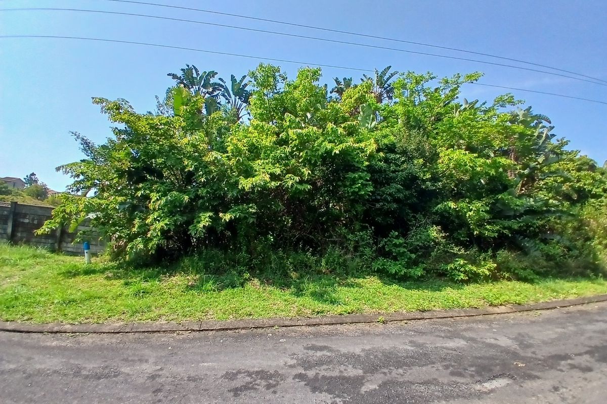 A view of a vacant residential plot featuring established vegetation, a boundary wall, and direct access from an asphalt road.