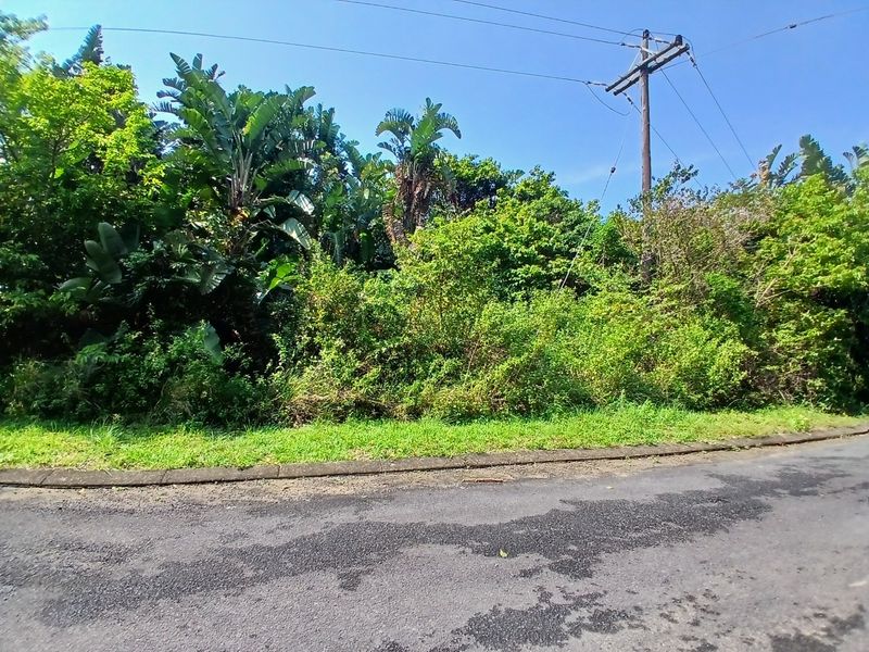 A view of a vacant residential plot from the street, featuring dense vegetation, a concrete curb, and existing utility infrastructure.