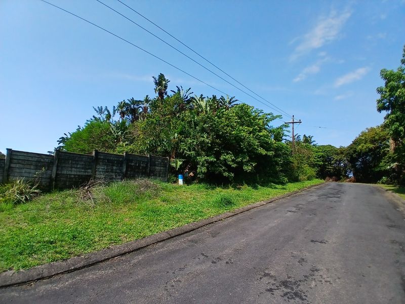 A street-level view of the vacant residential property, featuring an asphalt road, boundary wall, and established vegetation along the perimeter.