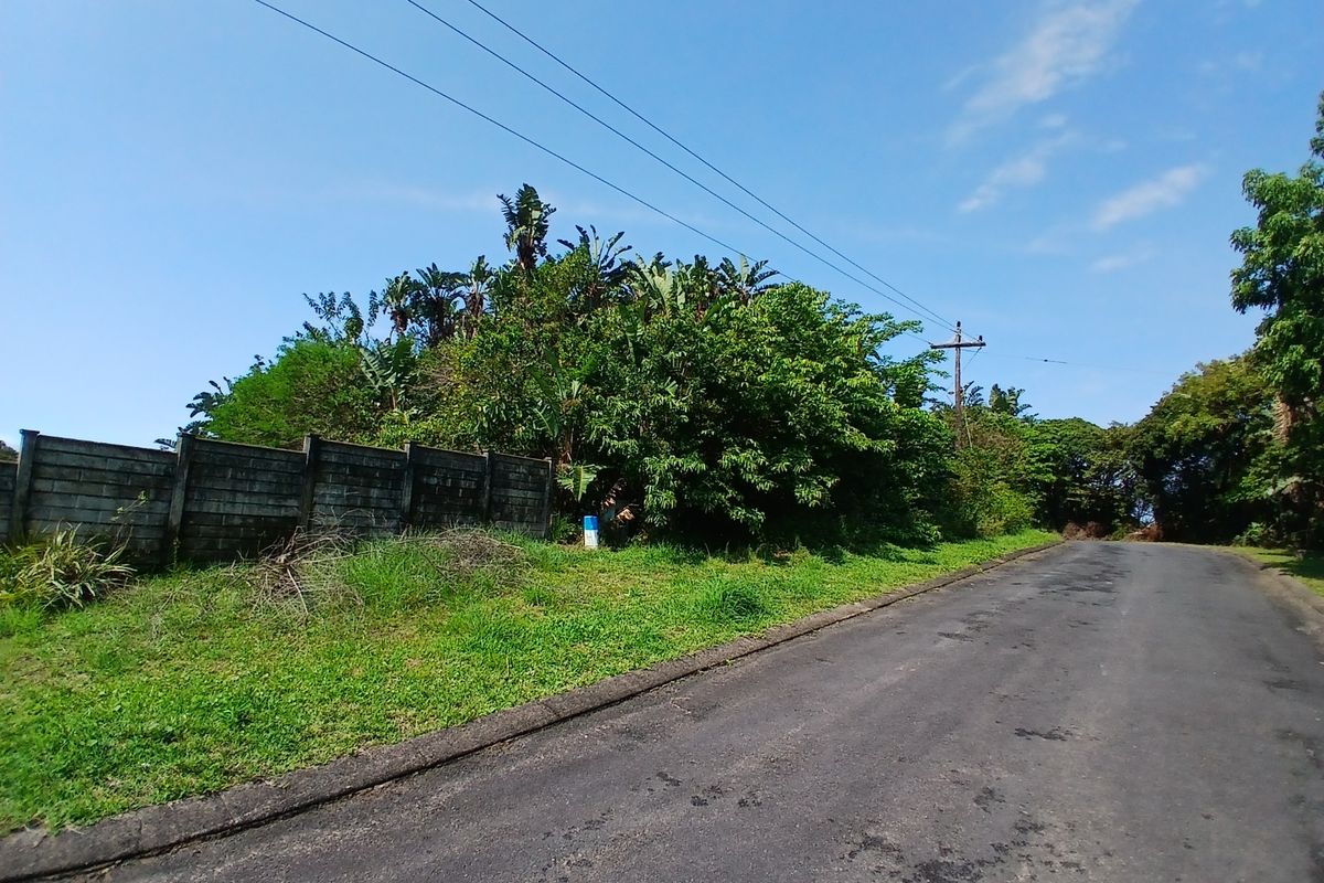 A street-level view of the vacant residential property, featuring an asphalt road, boundary wall, and established vegetation along the perimeter.