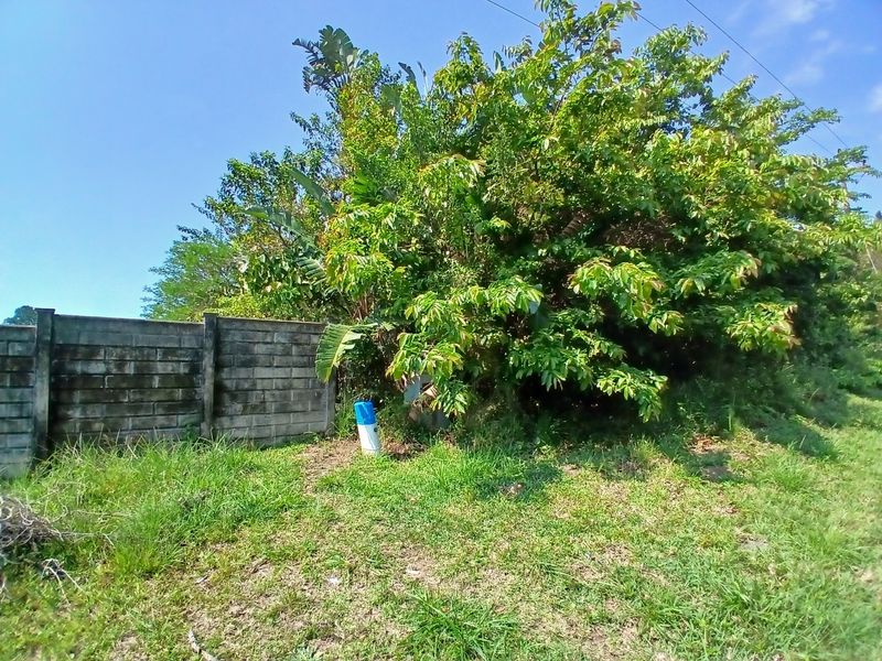 A view of the vacant residential land featuring a concrete block boundary wall and established trees.