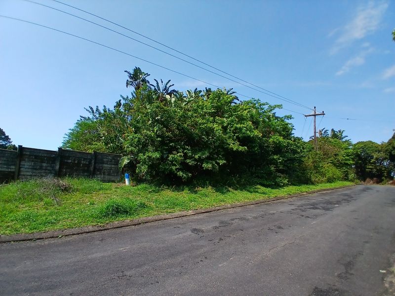 Street view of a vacant residential plot featuring a concrete boundary wall, established vegetation, and access to local utility infrastructure.