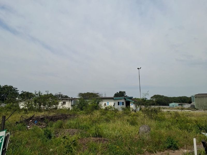A wide-angle view of an industrial property site featuring a single-story building structure surrounded by overgrown vegetation and open land.