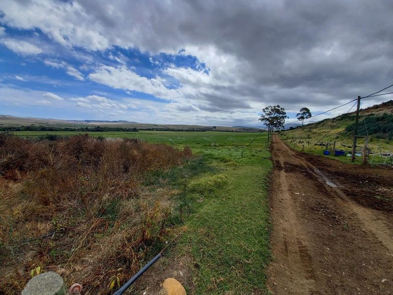 Expansive rural landscape view featuring a dirt farm road, open grazing fields, and distant hills under a cloudy sky.
