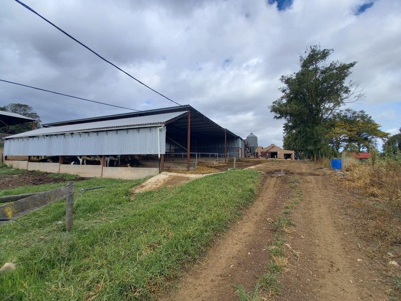 Exterior view of a functional farm barn with corrugated metal siding, steel framing, and an adjacent silo, accessed by a dirt track.