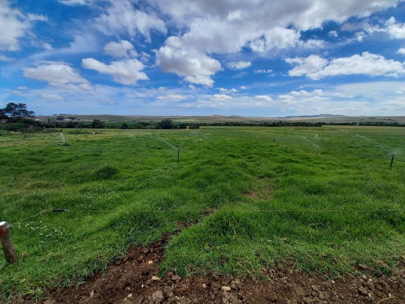 Expansive green pasture featuring an active irrigation system and perimeter electric fencing, set against a scenic rural landscape.