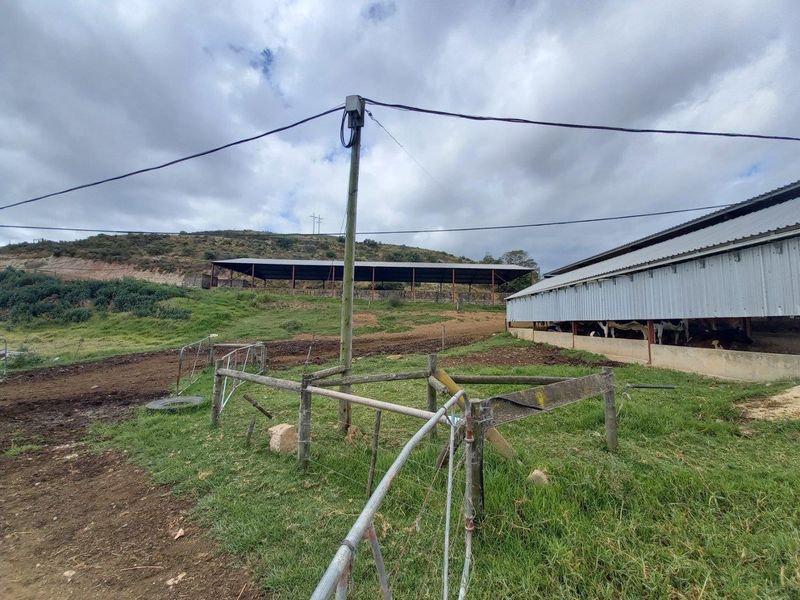 View of farm infrastructure including open-sided livestock shelters, corrugated metal roofing, and perimeter fencing on a rural property.