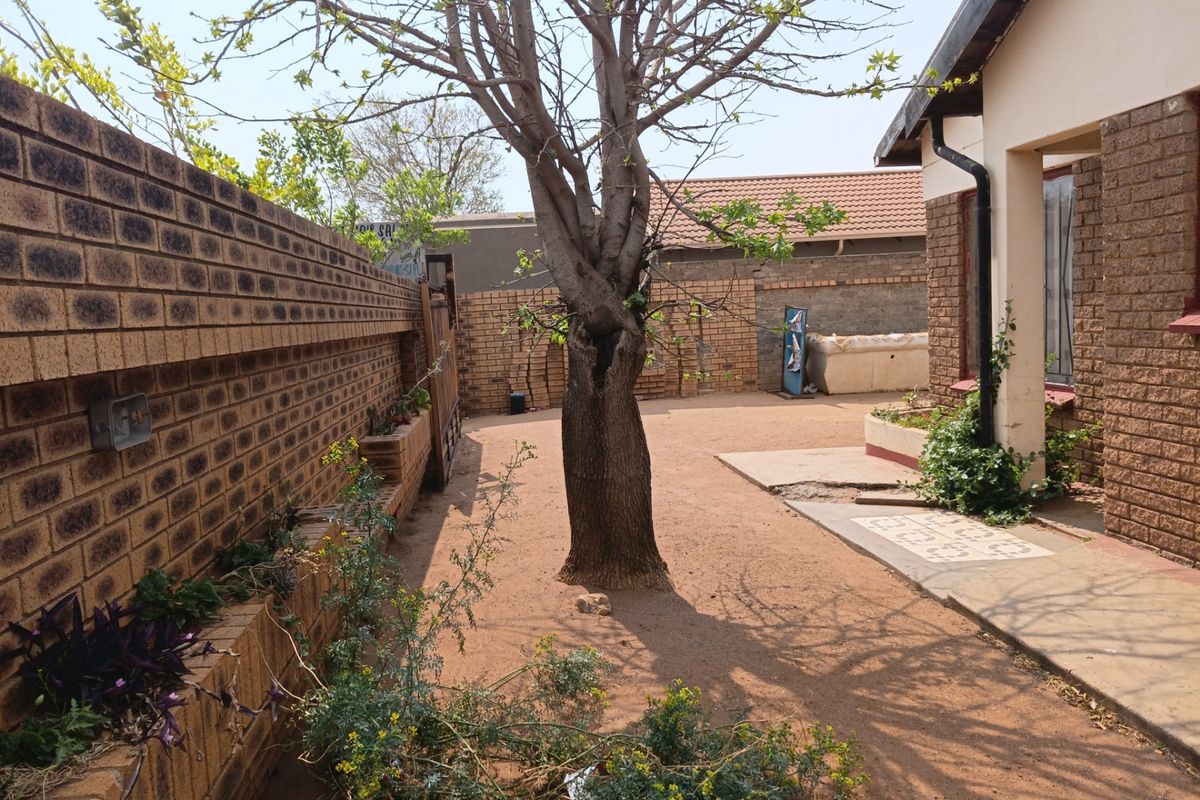 Rear exterior view of the property featuring a brick boundary wall, a central tree, and a concrete pathway leading along the side of the house.