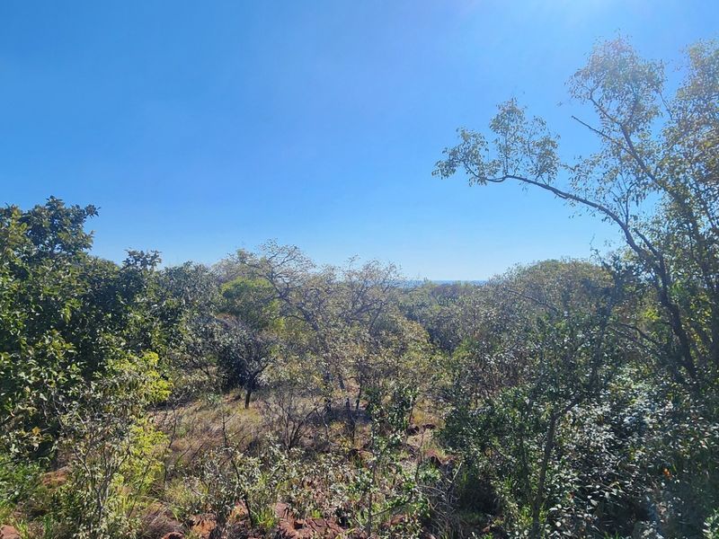A scenic view of the natural landscape and native vegetation on the vacant residential property.