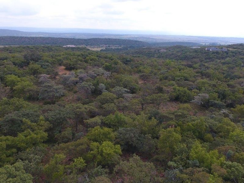 An aerial view of the expansive, naturally vegetated residential land, showcasing the surrounding landscape and terrain.