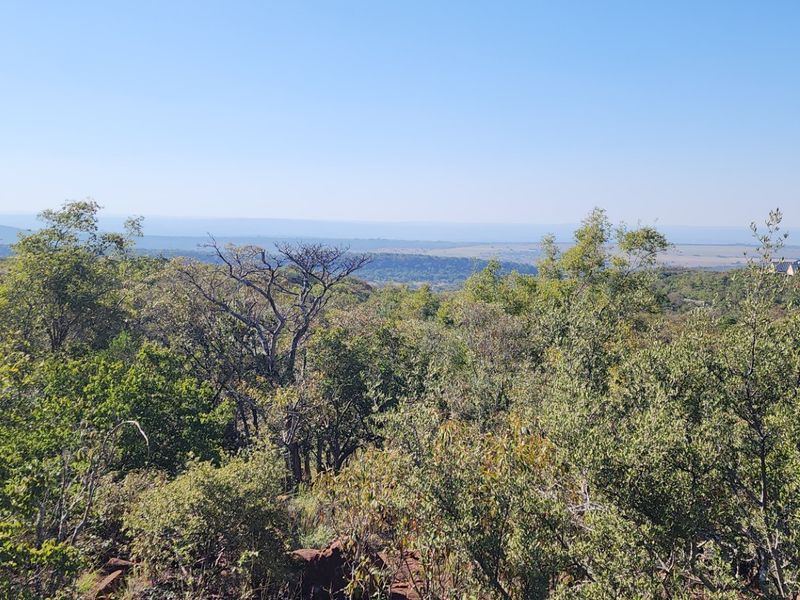 A scenic, elevated view overlooking a vast expanse of natural bushveld and native landscape, showcasing the property's tranquil and expansive surroundings.