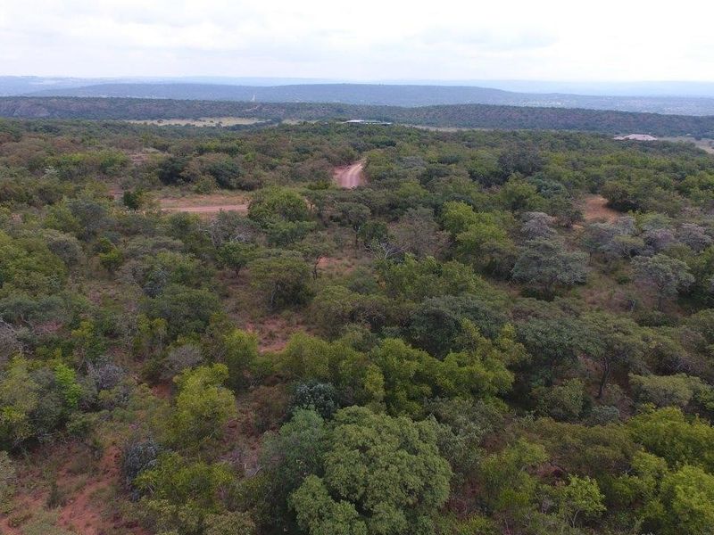 An aerial view of a large, undeveloped residential plot featuring dense native vegetation and a dirt access road.