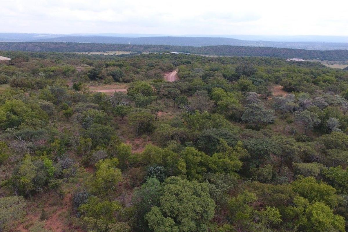 An aerial view of a large, undeveloped residential plot featuring dense native vegetation and a dirt access road.