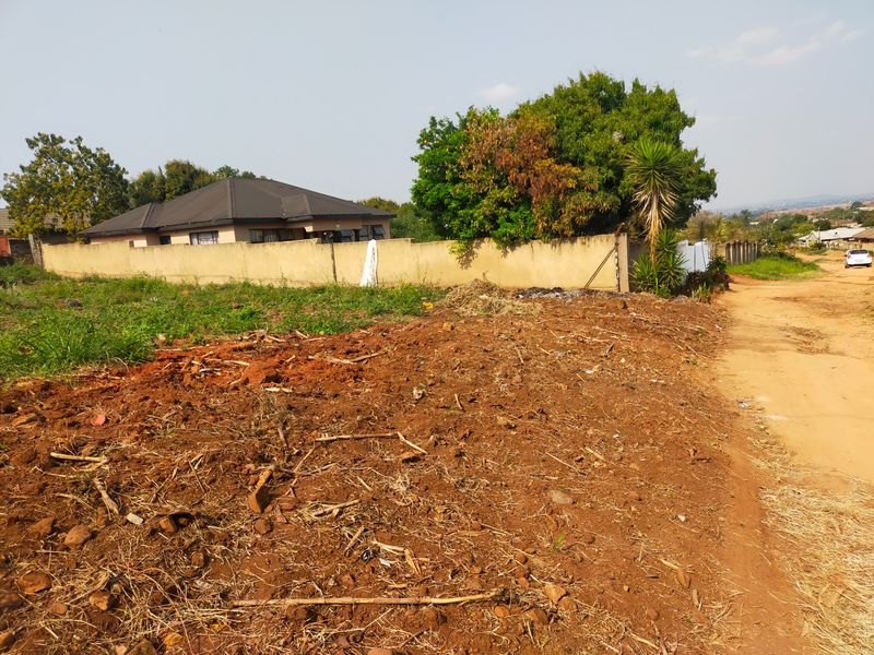 A view of an unpaved road adjacent to a vacant residential plot, featuring a perimeter wall and surrounding vegetation.