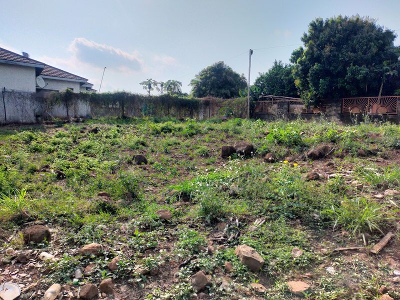 A vacant residential plot featuring overgrown vegetation, natural rock formations, and perimeter boundary walls with metal fencing.