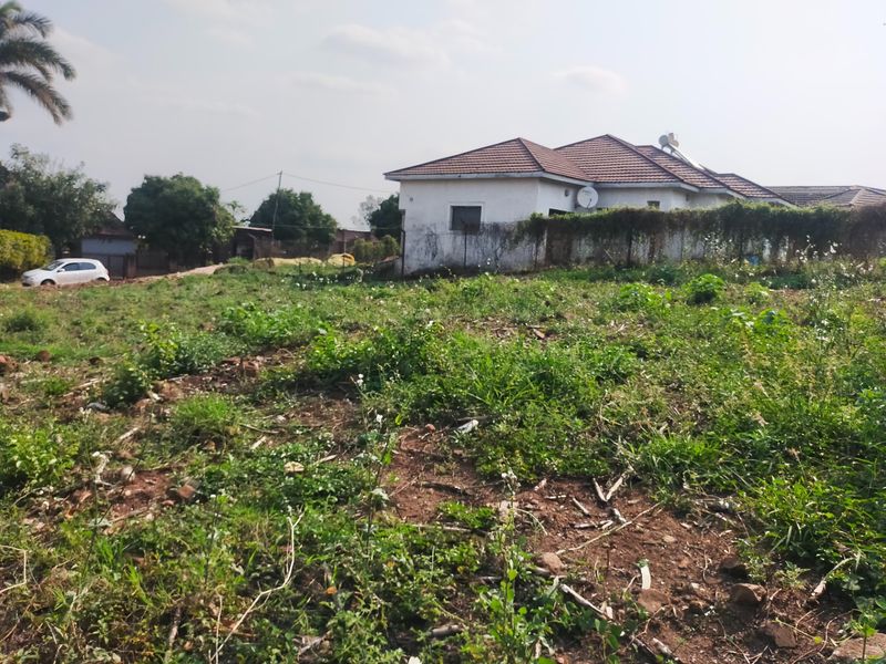 A view of a vacant residential plot with overgrown vegetation, featuring a perimeter wall and a neighboring house with a solar water heater.