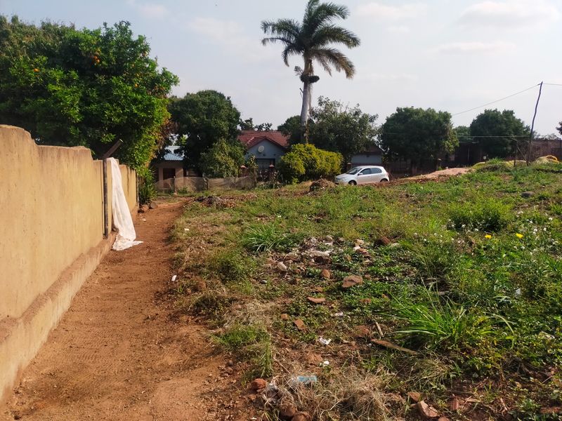 A view of a vacant residential plot featuring a boundary wall and mature trees, currently requiring clearing and landscaping.