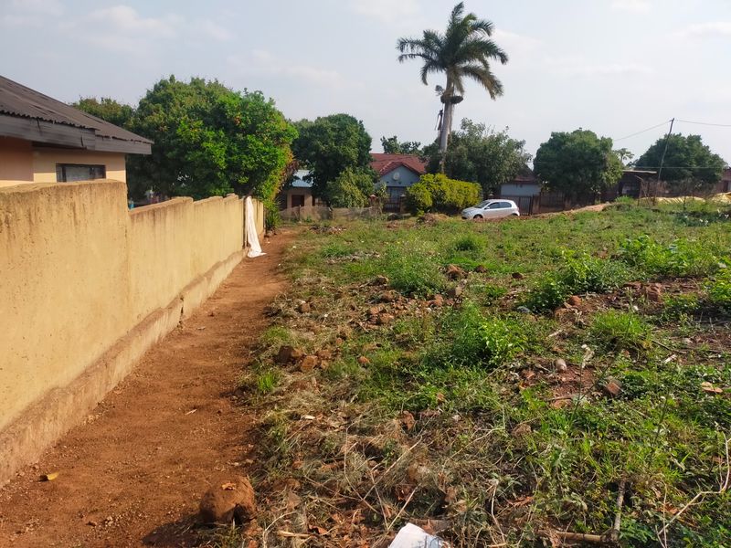 A view of a vacant residential plot featuring a boundary wall and mature vegetation, offering potential for future development.