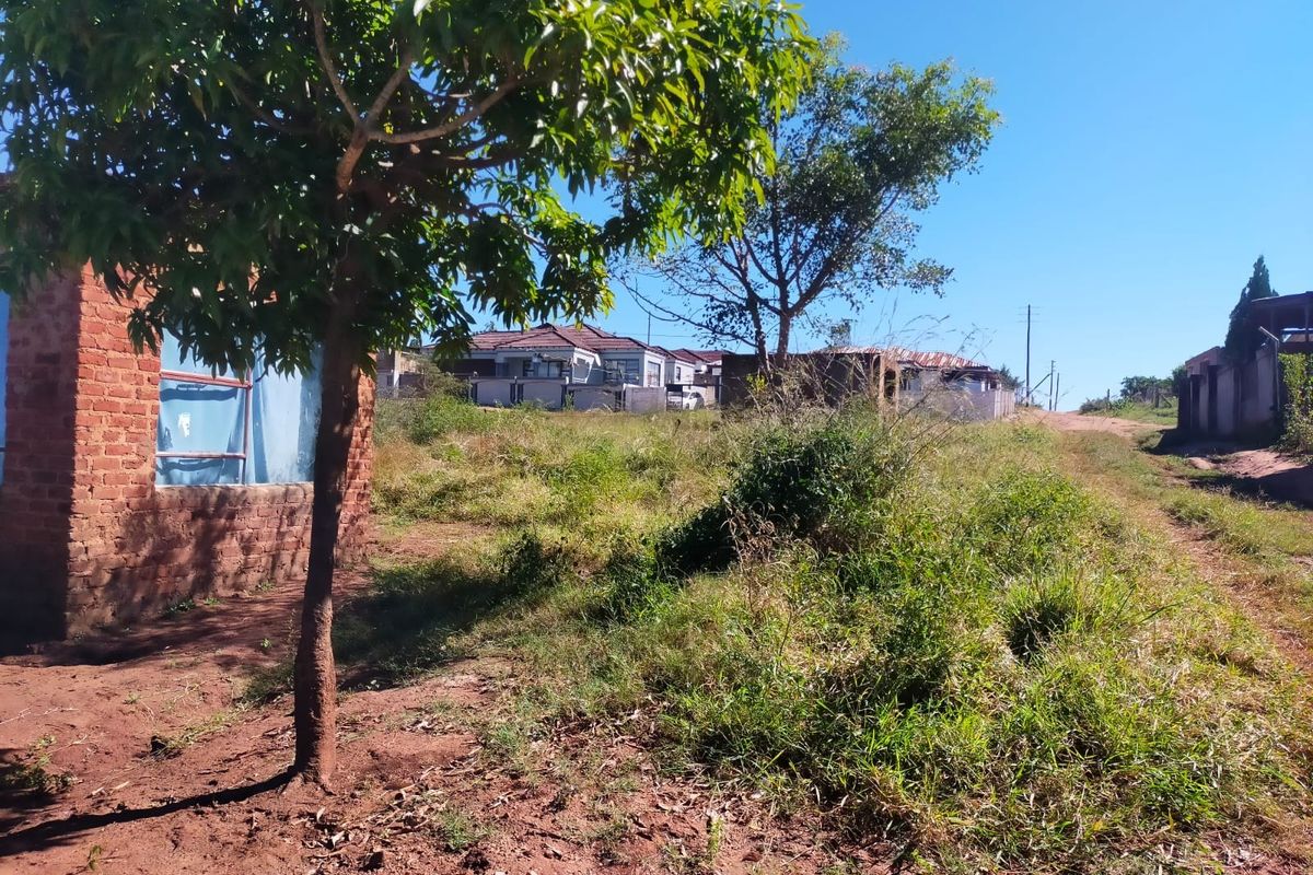 A view of a vacant residential plot featuring natural vegetation, mature trees, and an unpaved access path in a suburban setting.