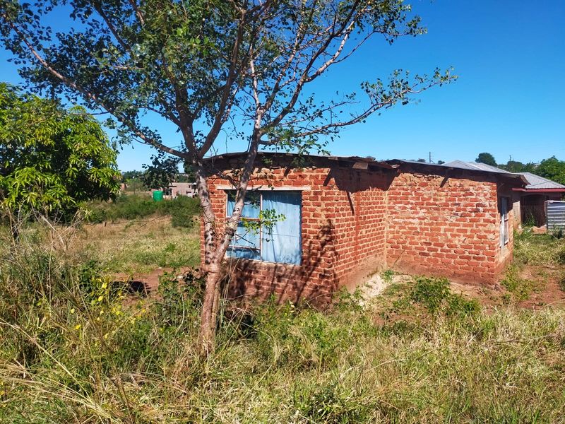 A small, detached brick structure with a corrugated metal roof situated on a residential plot with surrounding natural vegetation.