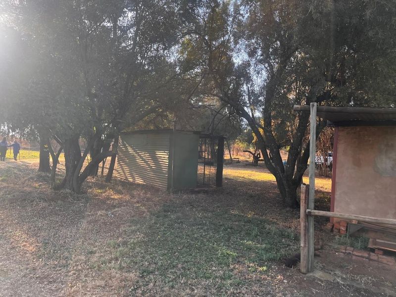 A view of a residential plot featuring mature trees, a corrugated metal shed, and a simple timber structure in a natural, undeveloped setting.