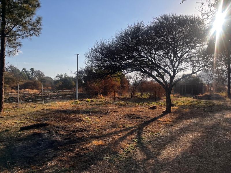 A view of a vacant residential plot featuring mature trees, natural vegetation, and perimeter electric fencing.
