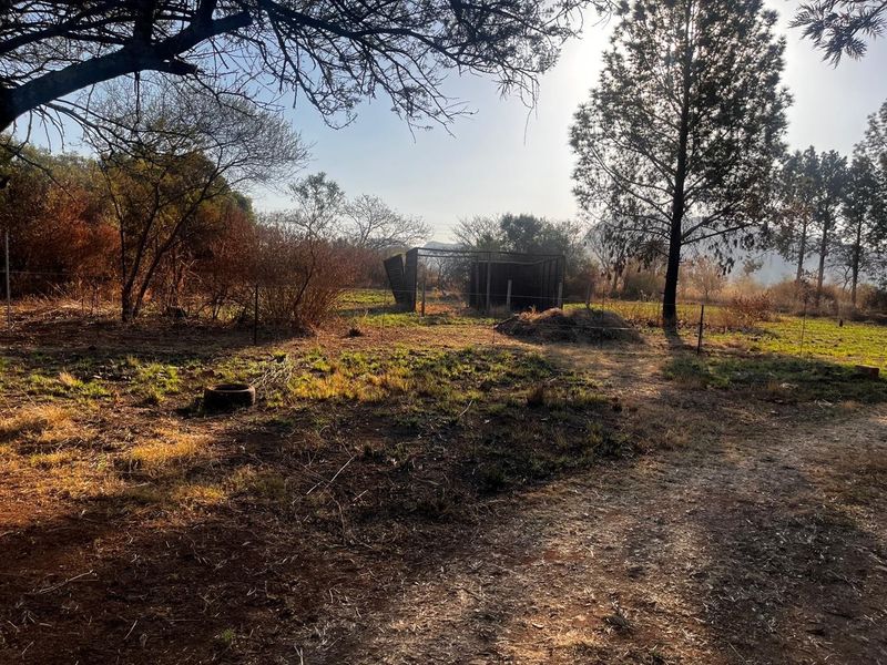 A view of a vacant residential plot featuring natural vegetation, mature trees, wire fencing, and a small damaged metal structure.