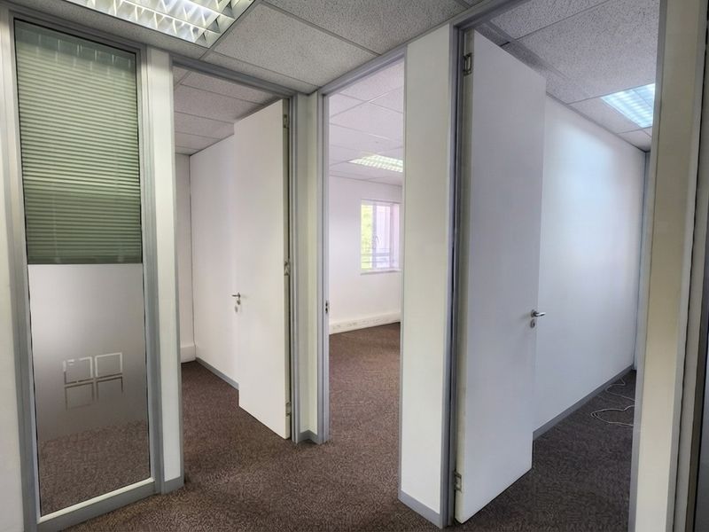 A vacant office suite featuring carpeted flooring, suspended ceilings with recessed lighting, and a combination of solid and frosted glass partition walls.