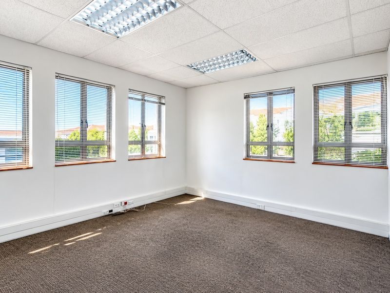 A bright, empty office space featuring neutral walls, carpeted flooring, suspended ceilings with recessed lighting, and multiple windows with fitted venetian blinds.