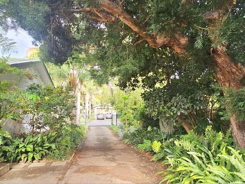 A lush, tree-lined driveway leading to a secure gated entrance, featuring mature landscaping and established garden beds.