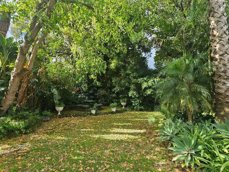 A lush, mature garden featuring established trees, palm specimens, and dense greenery, providing a private and shaded outdoor setting.