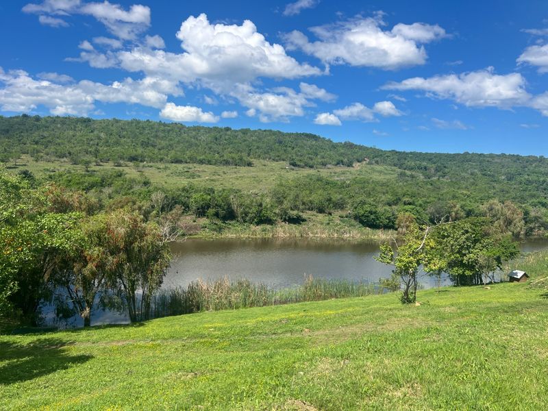 A scenic view of a natural dam surrounded by lush green hills and native vegetation on the farm property.