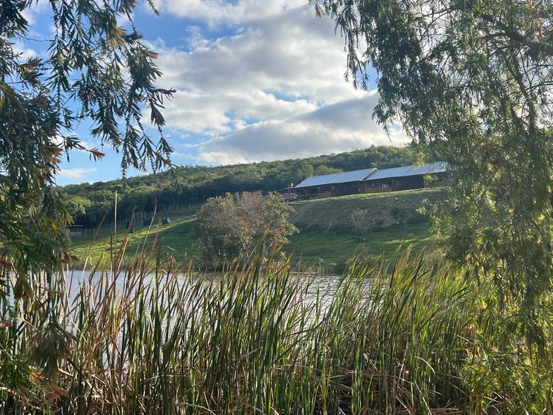 A scenic view of a farmhouse property situated on a grassy hill overlooking a pond with reeds in the foreground.