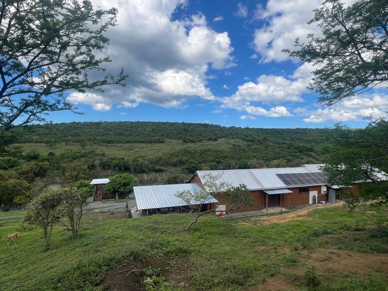 A rear view of a farm building featuring timber cladding, a corrugated metal roof with integrated solar panels, and a surrounding rural landscape.