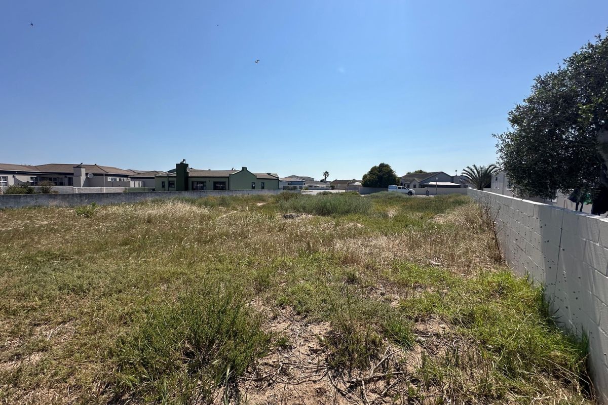 A vacant residential plot featuring established perimeter boundary walls and natural vegetation, situated within a developed suburban neighborhood.