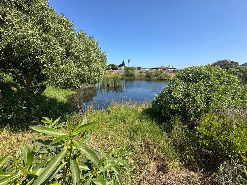 A scenic view of a natural pond surrounded by native vegetation and greenery, offering a peaceful outlook from the residential land.