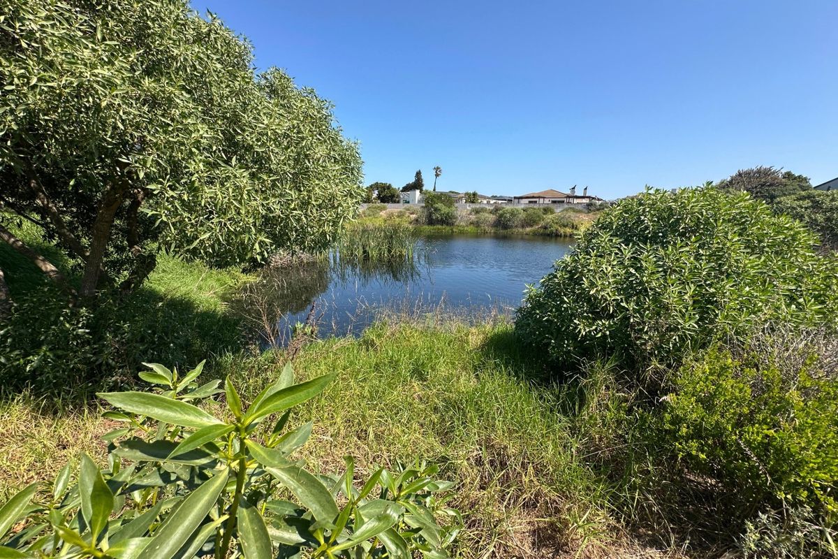 A scenic view of a natural pond surrounded by native vegetation and greenery, offering a peaceful outlook from the residential land.